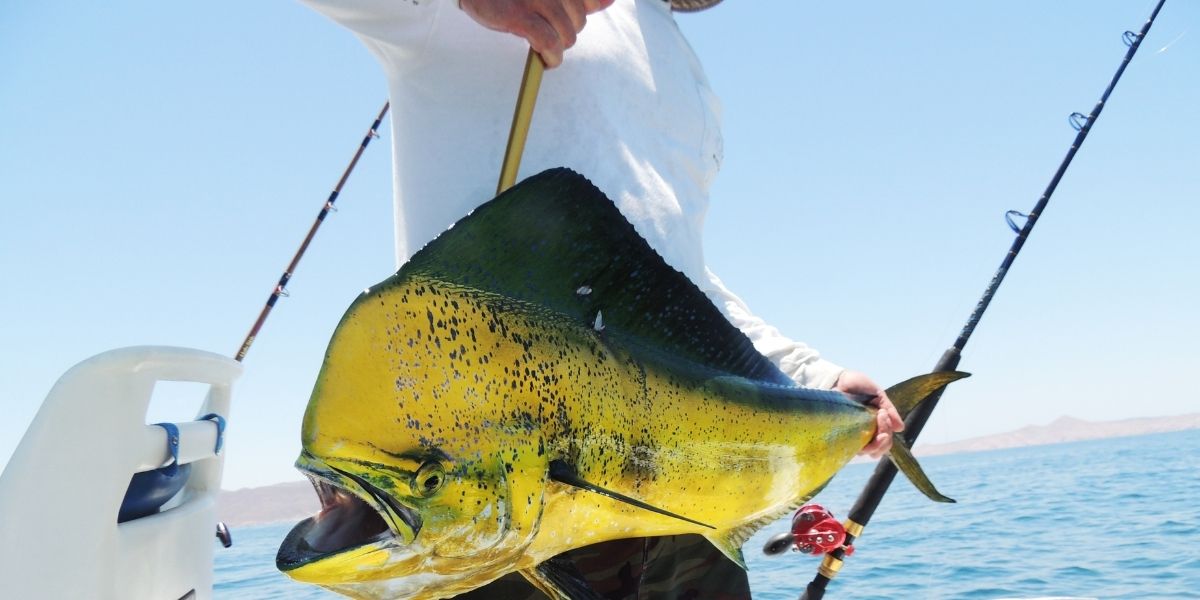 Pesca