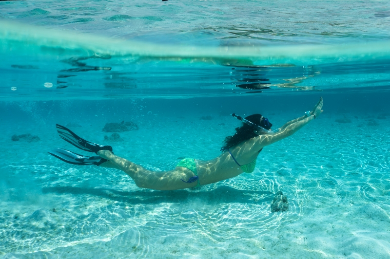 Snorkel